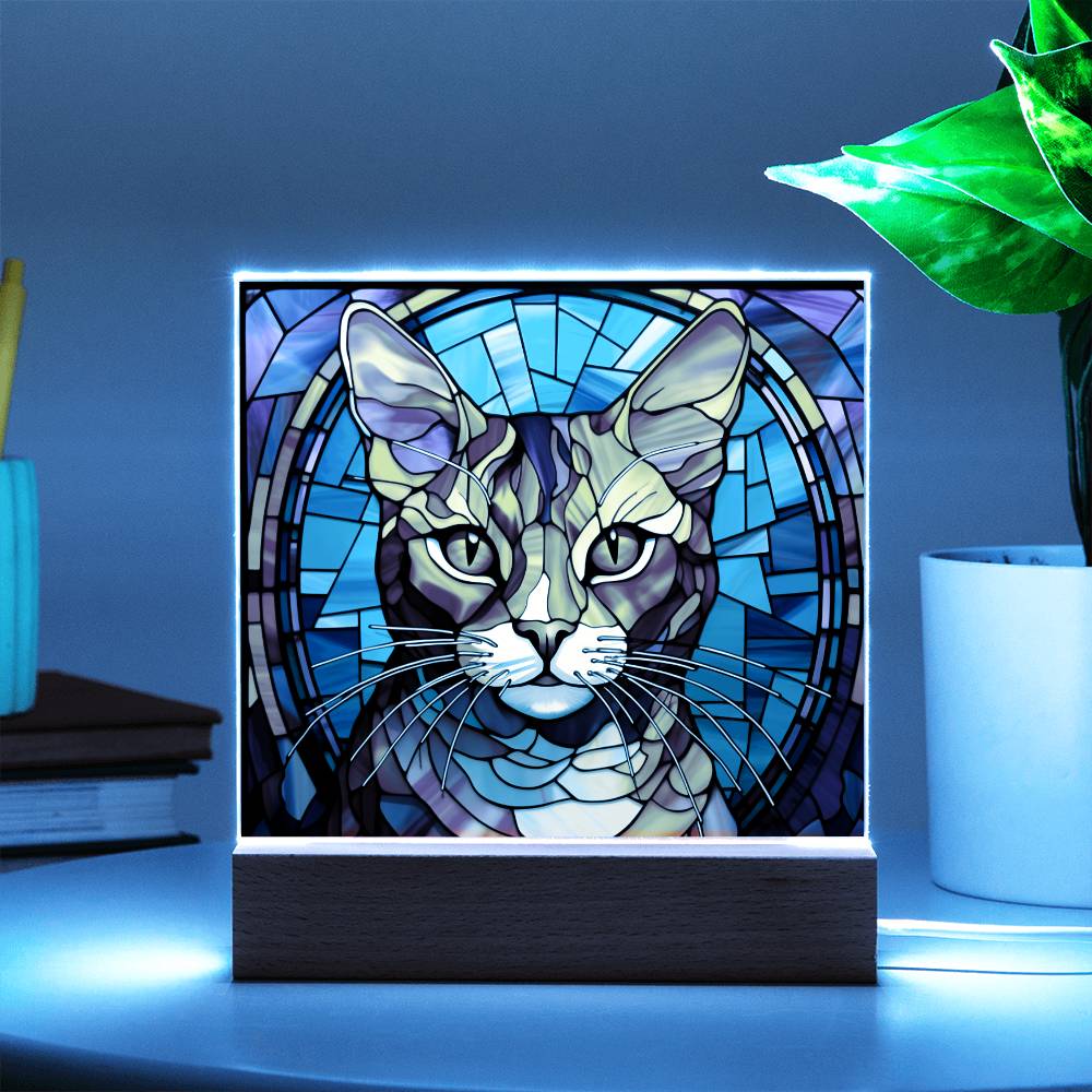 Cat Stained Glass Sqaure Acrylic 3