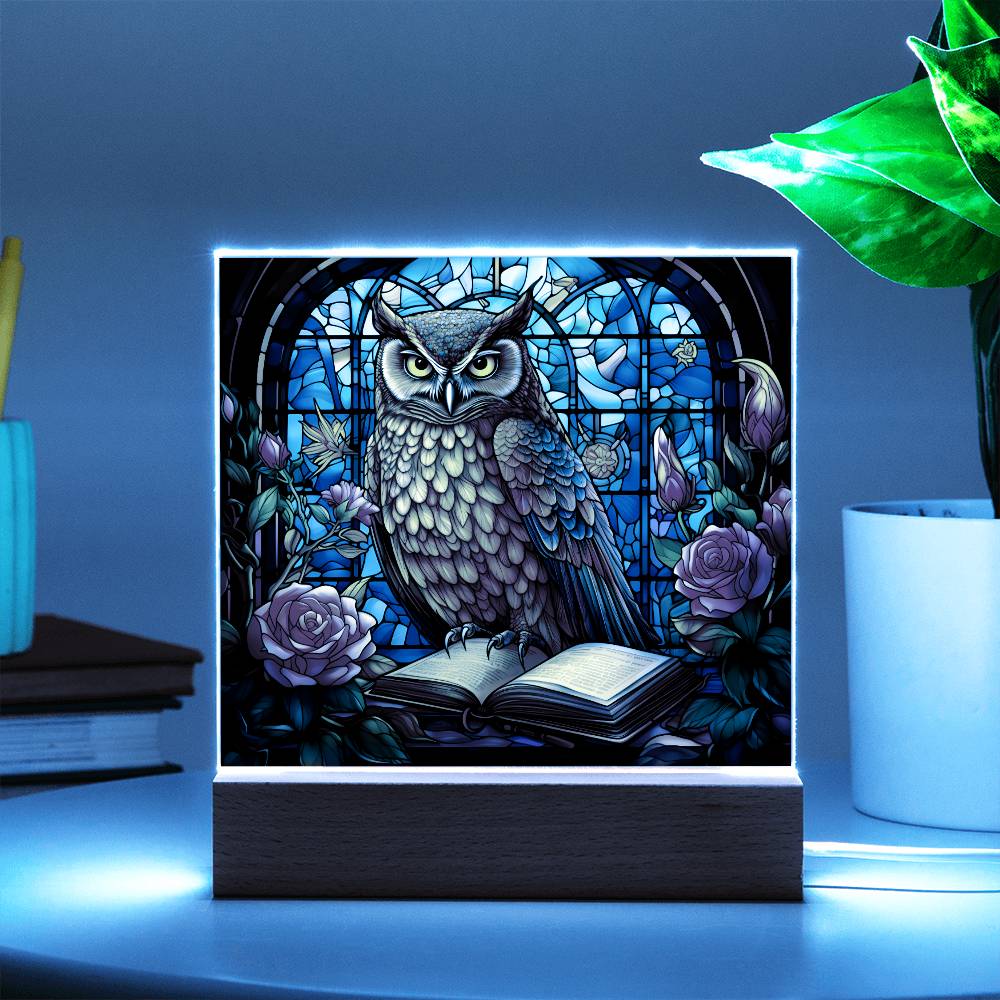 Owl Stained Glass Sqaure Acrylic 1